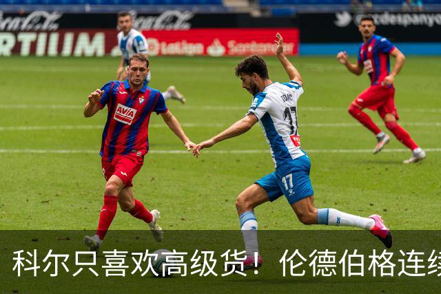 科尔只喜欢高级货！伦德伯格连续三场二十五加，库明加不服也不行